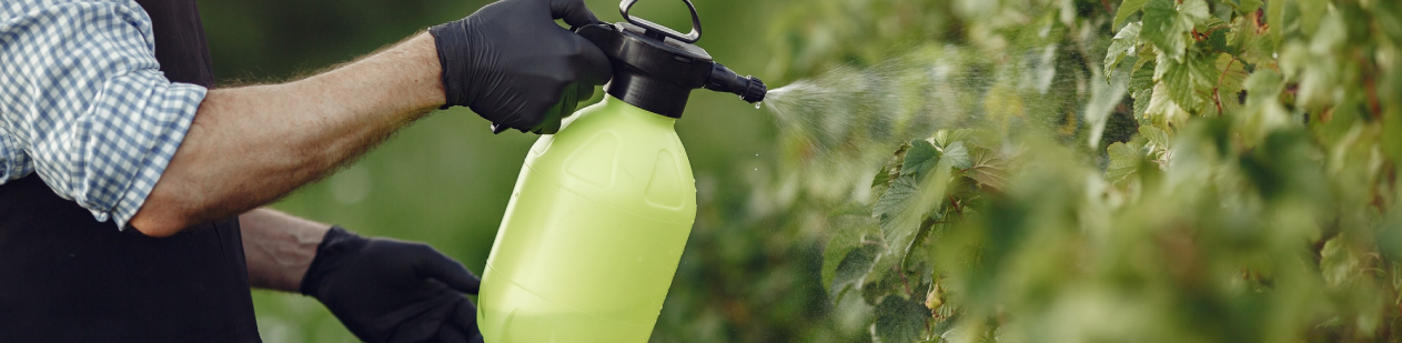 Patents: Safeguarding Innovation In Agriculture